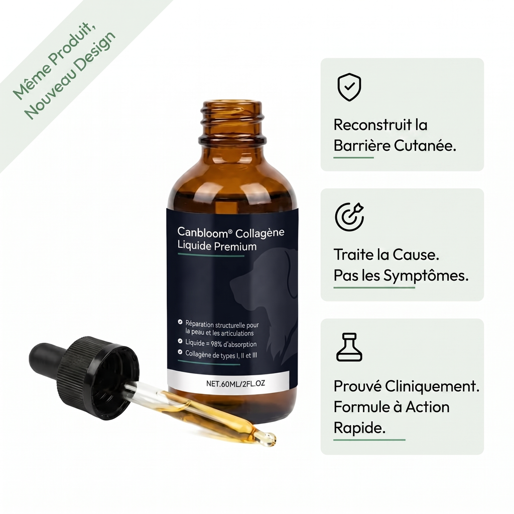 Canbloom Collagène Liquide Premium