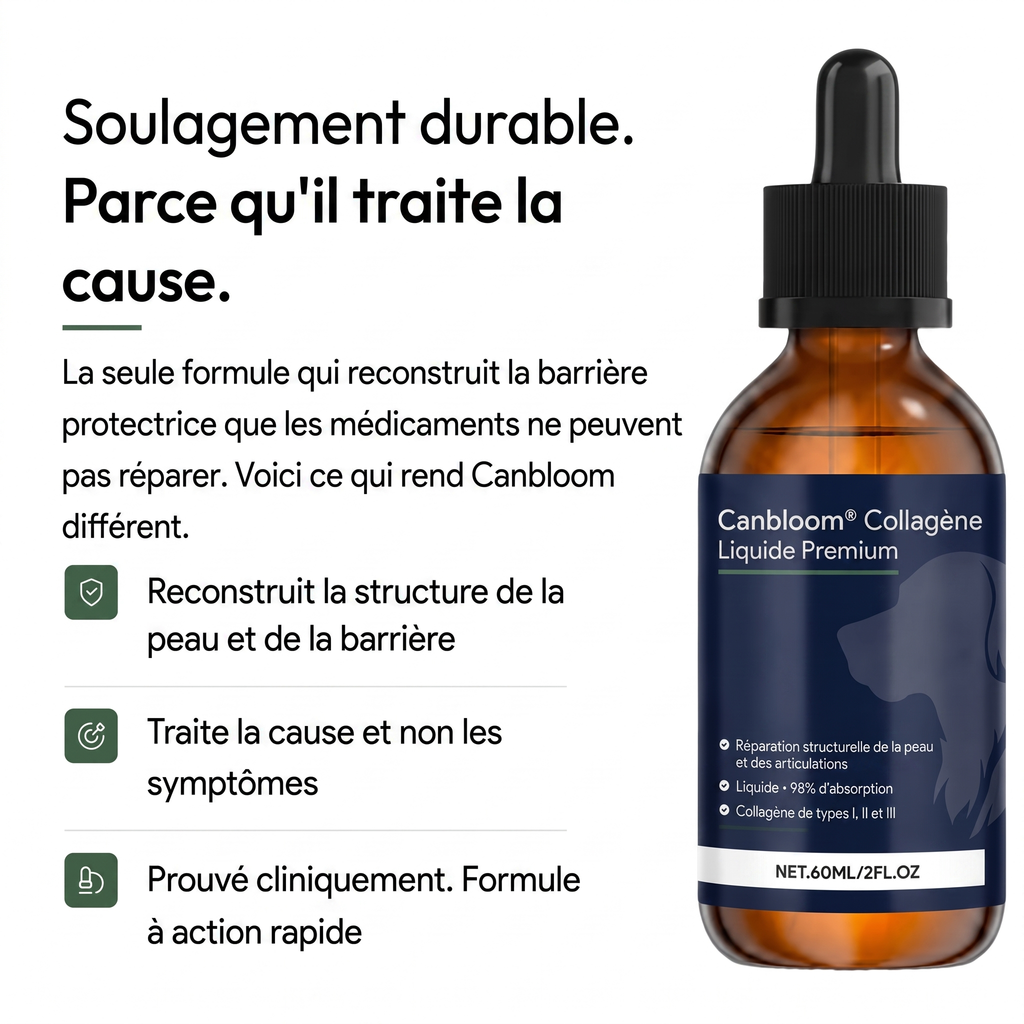 Canbloom Collagène Liquide Premium
