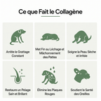 Canbloom Collagène Liquide Premium