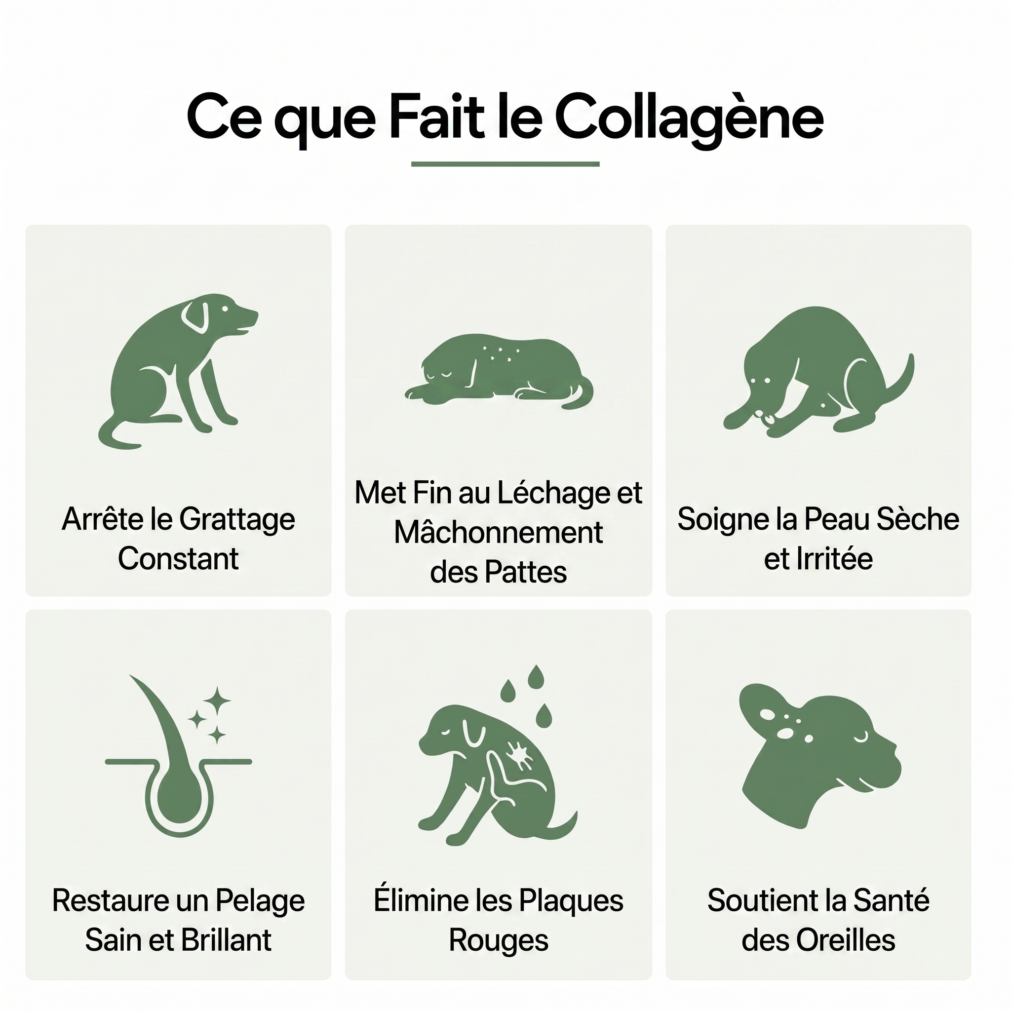 Canbloom Collagène Liquide Premium