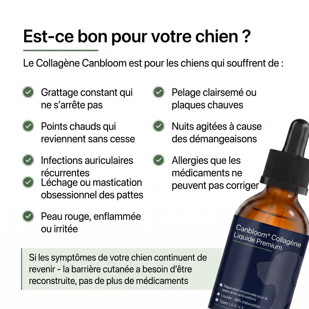Canbloom Collagène Liquide Premium