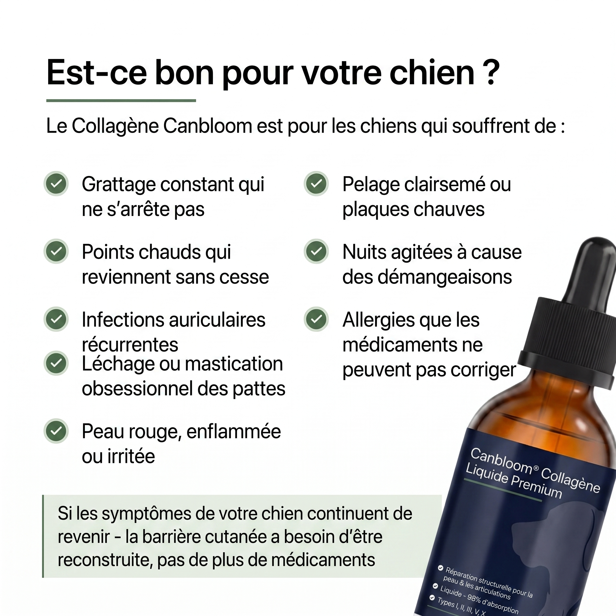 Canbloom Collagène Liquide Premium