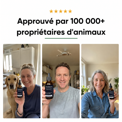 Canbloom Collagène Liquide Premium