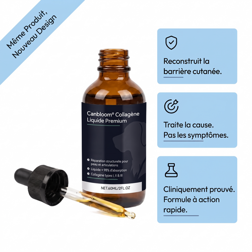 Canbloom Collagène Liquide Premium