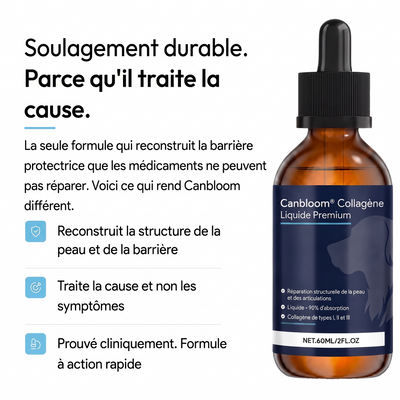 Canbloom Collagène Liquide Premium