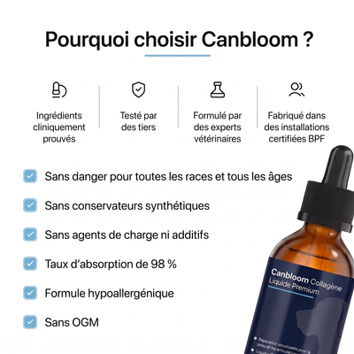 Canbloom Collagène Liquide Premium