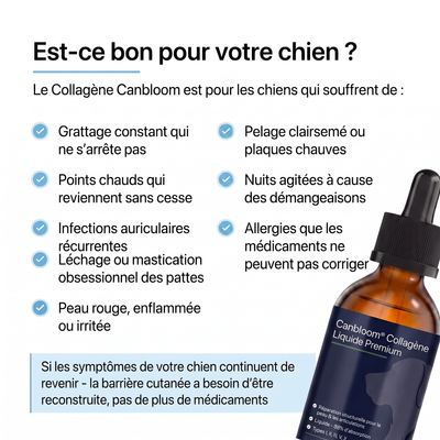 Canbloom Collagène Liquide Premium