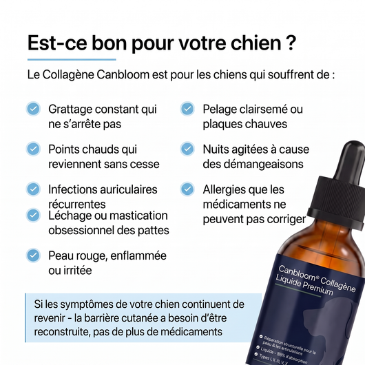 Canbloom Collagène Liquide Premium